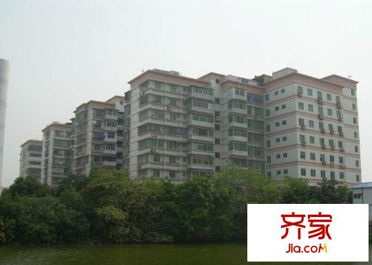 河口新村外景圖 