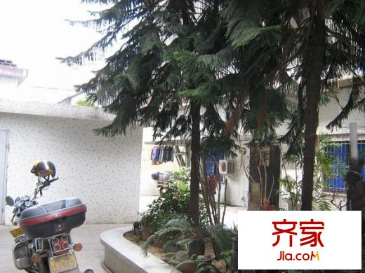 高峰小區(qū)外景圖 