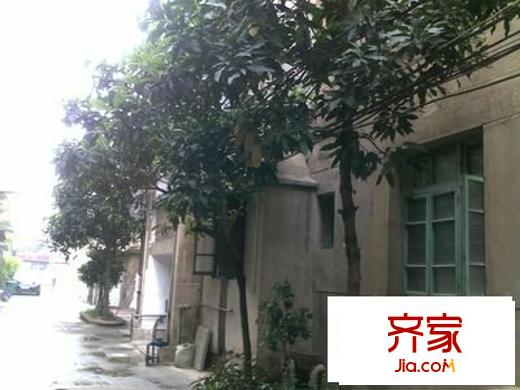 大根社區(qū)