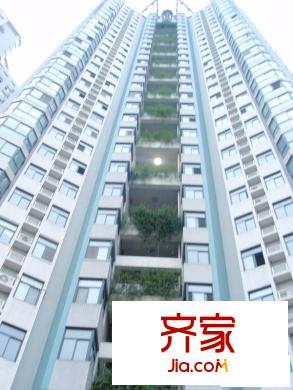 半島國際外景圖（20100519）