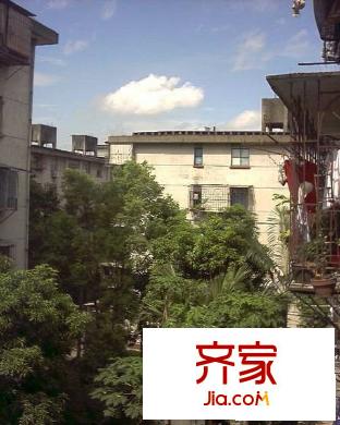 王莊梅園外景圖 