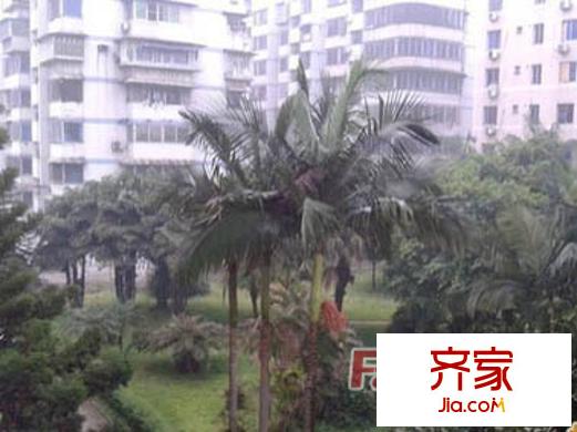 廈航大院外景圖 