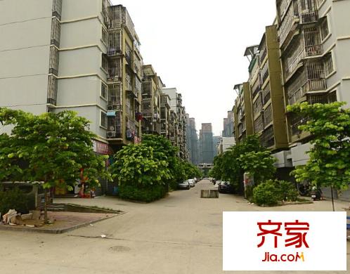 歧安小區(qū)外景圖 
