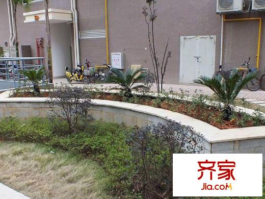 臨江新天地興嘉苑外景圖 