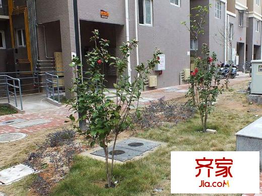 臨江新天地興嘉苑外景圖 