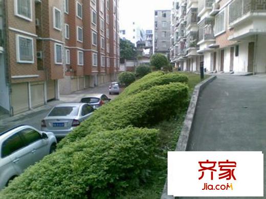 嘉誼花園外景圖 