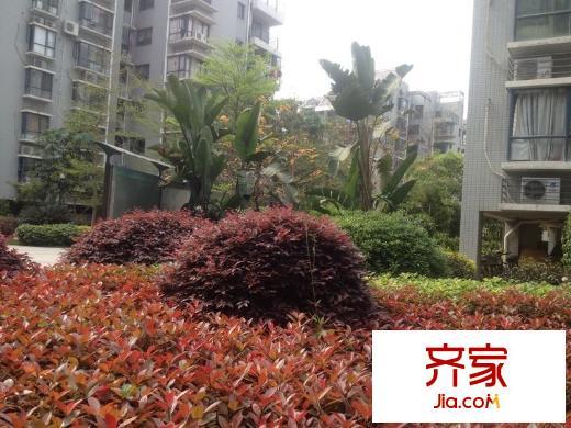 鼓樓庭院外景圖 