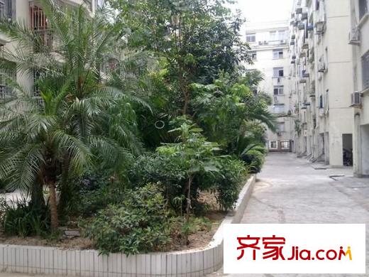 中亭街D區(qū)配套圖 周邊配套