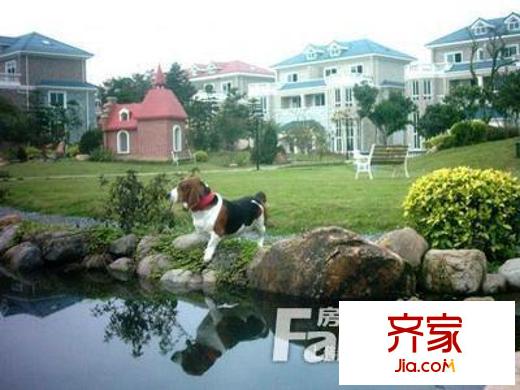 石沙小區(qū)外景圖 