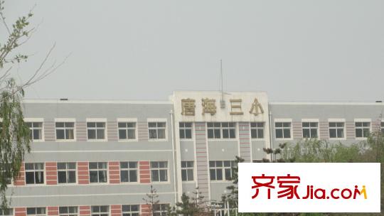先鋒領(lǐng)寓配套圖項目北側(cè)30米唐海三小
