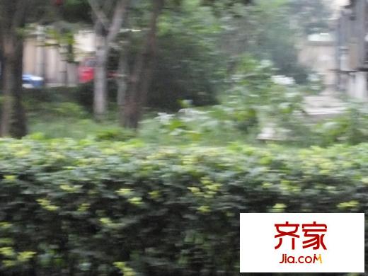 文慧園