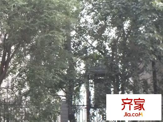文慧園外景圖