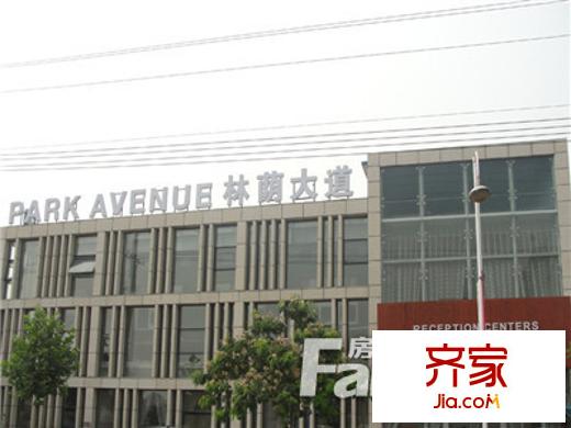 林蔭大道外景圖