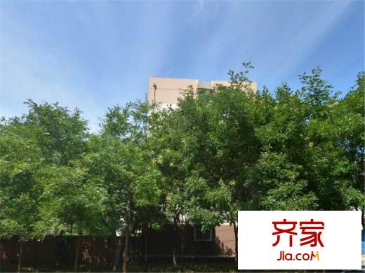 張興樓外景圖 