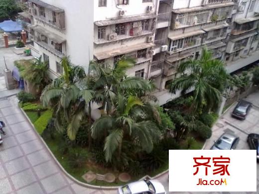 金安公寓外景圖 