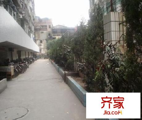 金安公寓外景圖 