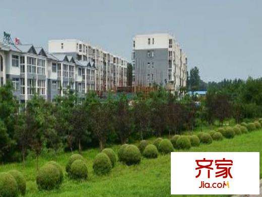 丹鳳朝陽(yáng)外景圖
