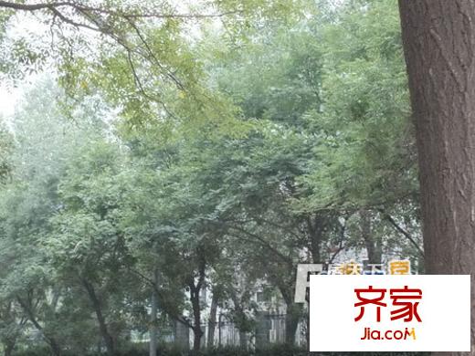 中南花苑外景圖 
