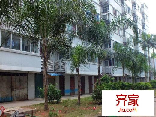 荷澤小區(qū)外景圖 