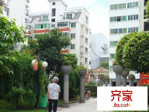 金星四季花城外景圖 