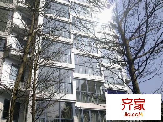 泰禾御西湖