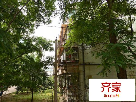 金星樓外景圖 