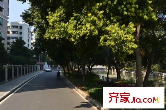 奧體都市花園配套圖周邊配套 街道