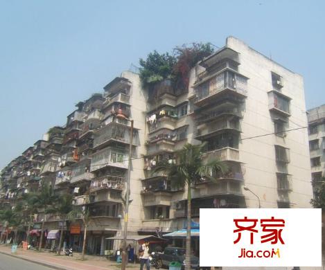 紫新新村外景圖 