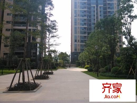 陽光新界外景圖 