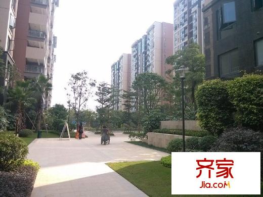 陽光新界外景圖 