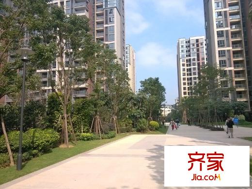 陽光新界外景圖 