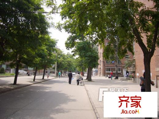 5號(hào)小區(qū)外景圖