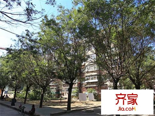 48號(hào)小區(qū)外景圖 