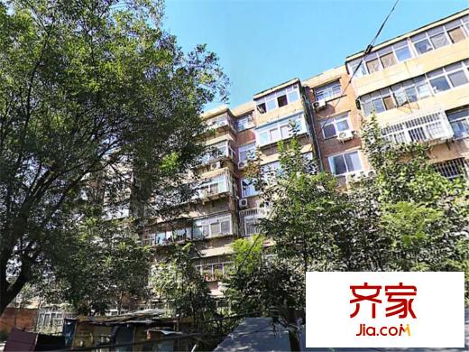 48號(hào)小區(qū)外景圖 