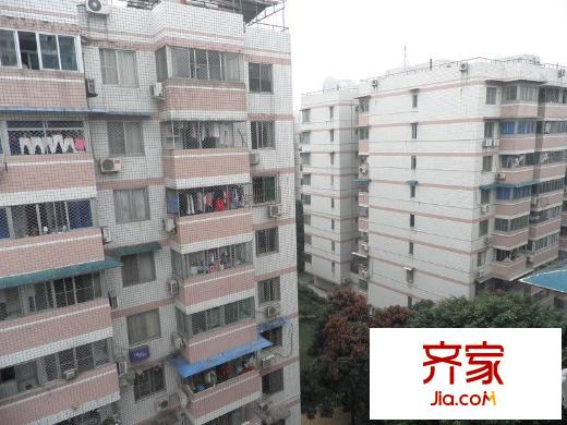 榕信苑外景圖 
