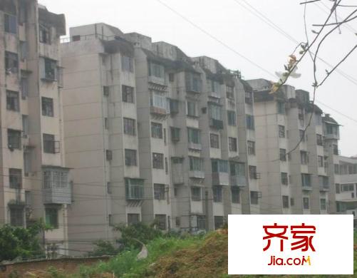 泉塘小區(qū)三區(qū)外景圖泉塘小區(qū) 