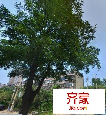 機(jī)場(chǎng)路北樓外景圖 