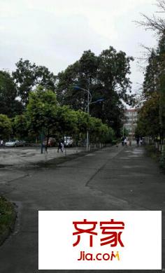 六一佳園外景圖5
