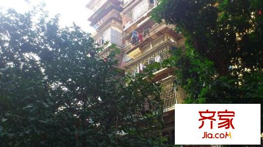 王莊四區(qū)外景圖 