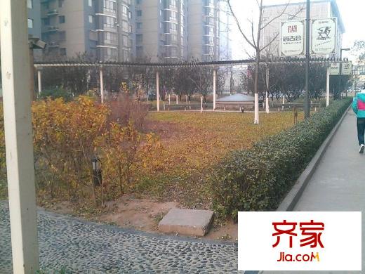 金洋旺座外景圖 