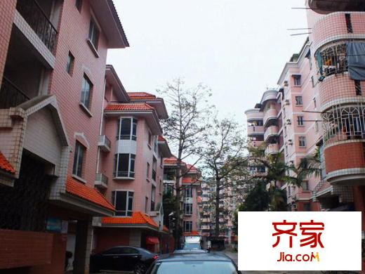 洪山橋社區(qū)外景圖 
