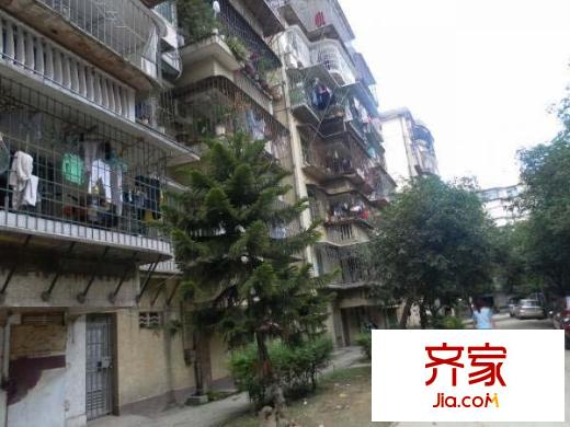 湖畔新村外景圖 