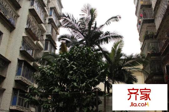 華林花園外景圖 