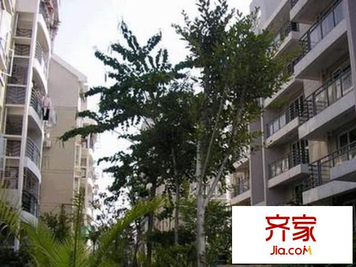 鼓樓人家外景圖 