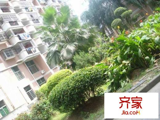 廣德小區(qū)外景圖 