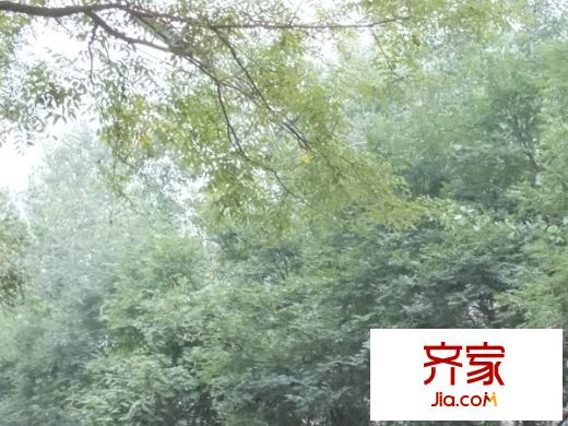21小區(qū)外景圖