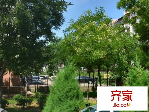 張大里新村外景圖 