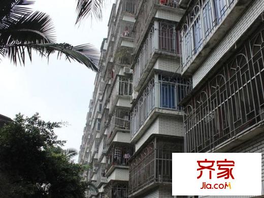 樹兜花園外景圖 