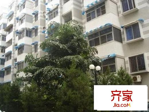 樹兜花園外景圖 