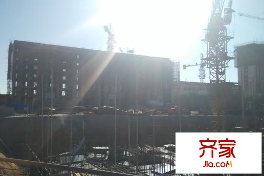 大悅福園單體工程進(jìn)度圖（2015-11-3）